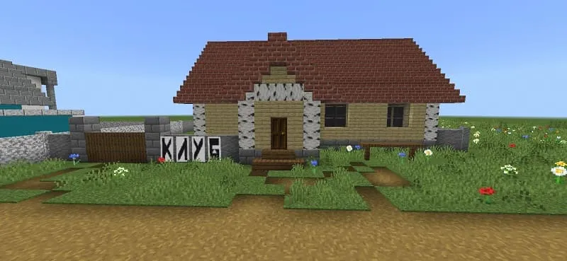 Деревенский клуб