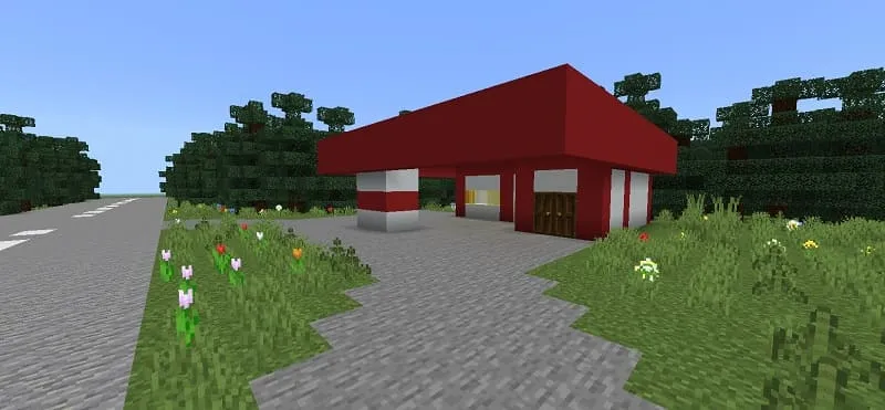 Заправка в Деревне