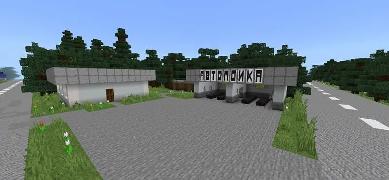 Автомойка в Деревне