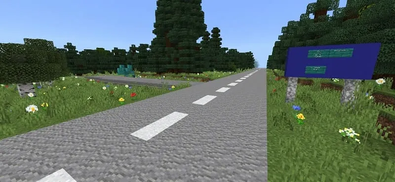 Дорога в Деревне