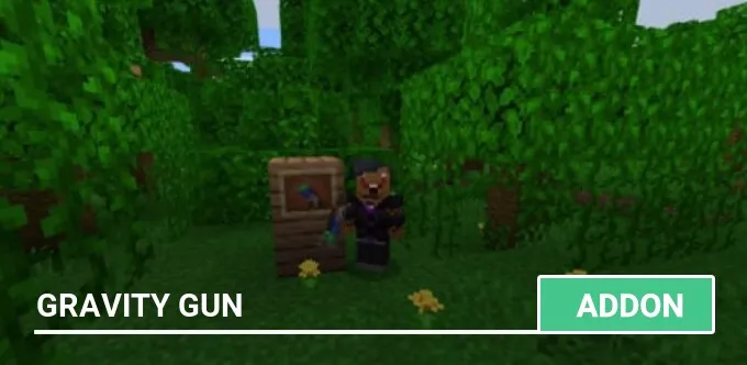 Mod: Pancakes Gravity Gun