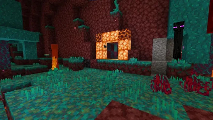 Зона возрождения