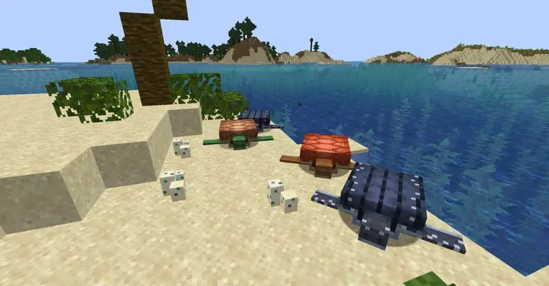 Черепахи на пляже