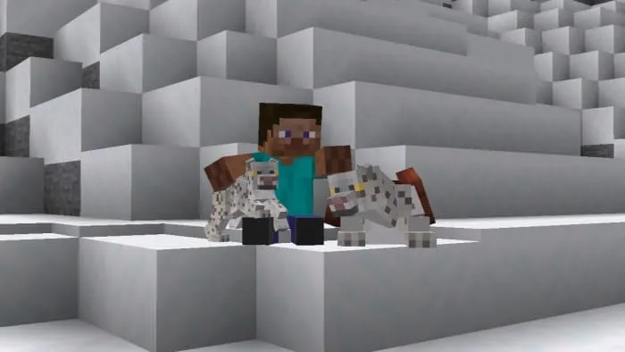 Снежный барс