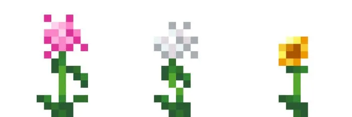 Три новых цветка