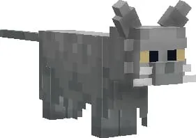 Британская короткошерстная кошка