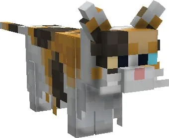 Рыже-белый кот