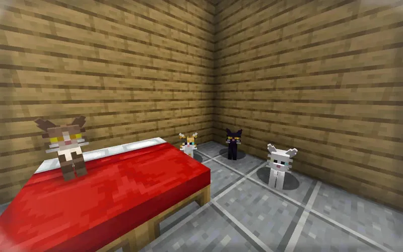 Коты на кровати