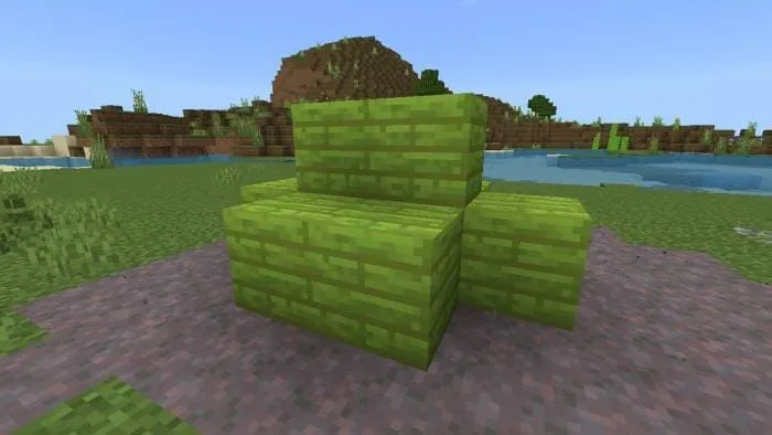 Грибные доски