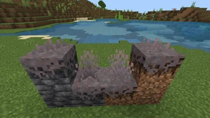 Блок мицелия