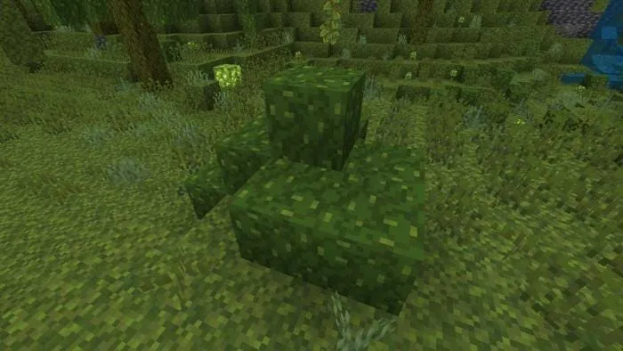 Грибной куст