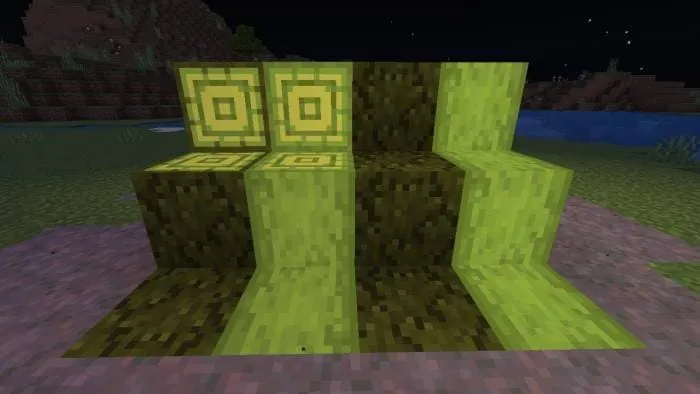 Грибная гифа