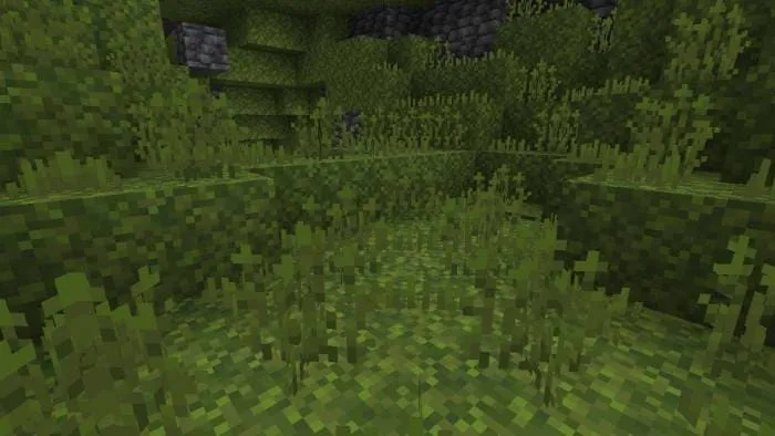 Блок ростков мха