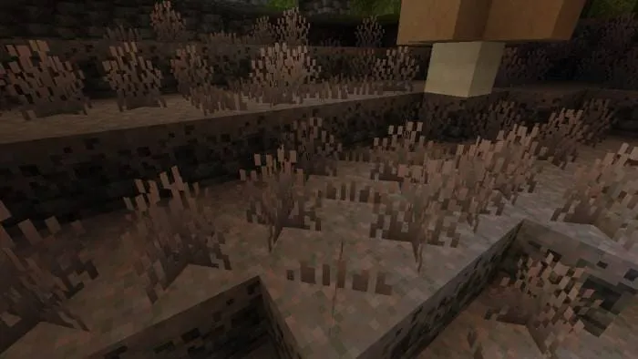 Блок ростки мицелия