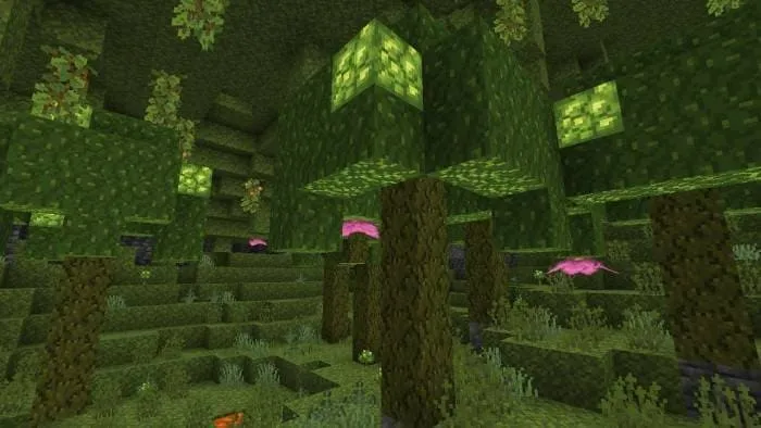 Огромный мох