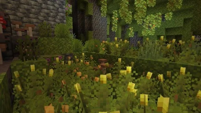 Блок мшистых ягод