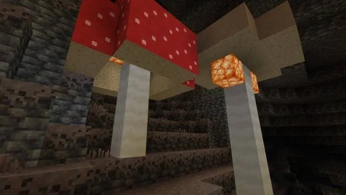 Огромные грибы