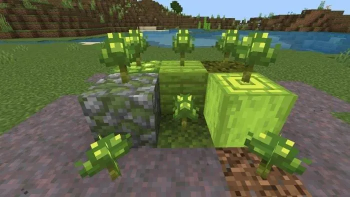 Моховые грибы