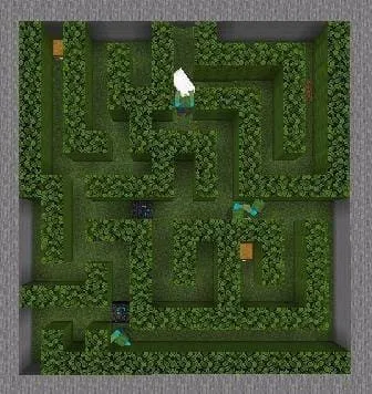 Вид лаберинта сверху