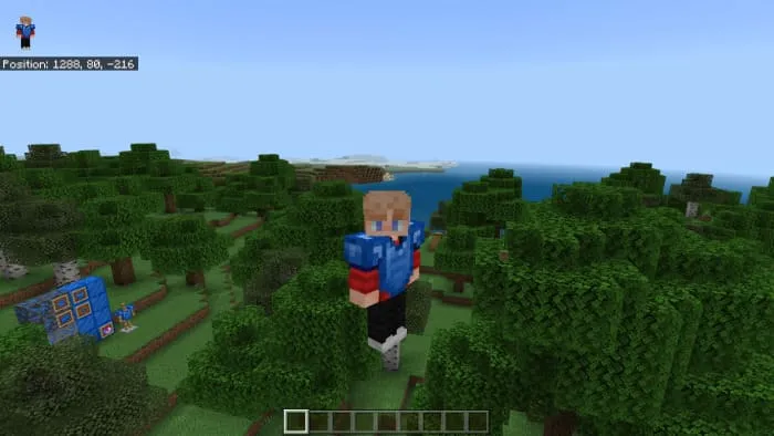 Нагрудник на игроке