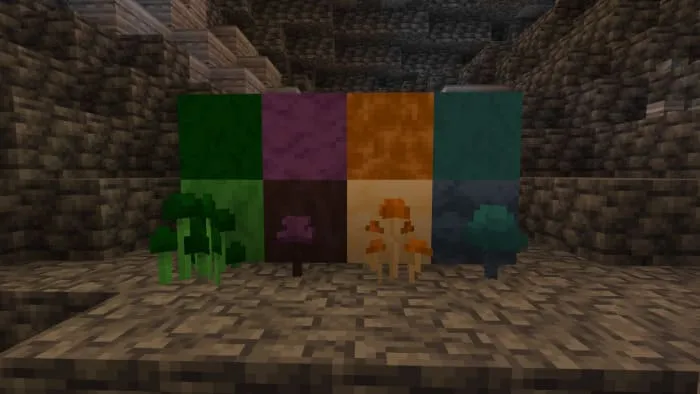 Новые грибы