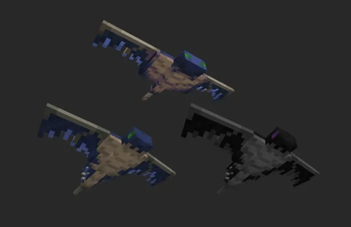 Вид фантома снизу