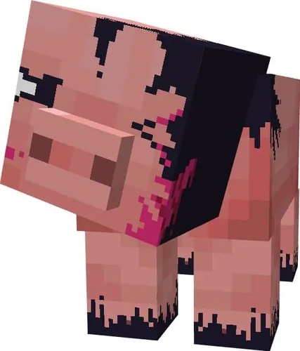 Начало инфекции свинья