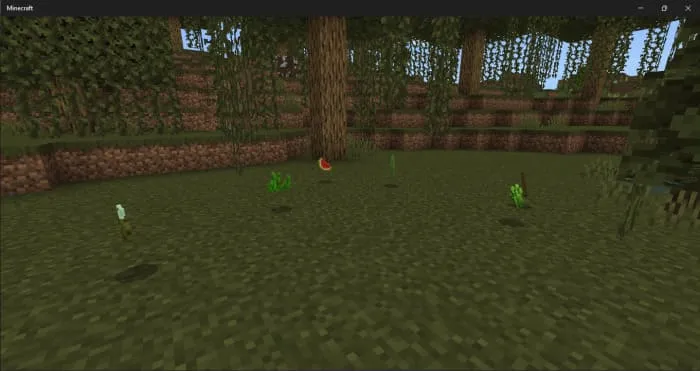 Кормление капибара