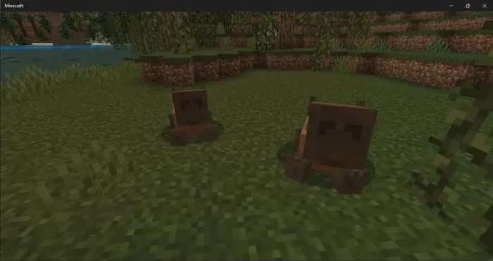 |Капибара в норке