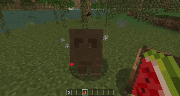 Приручение капибара