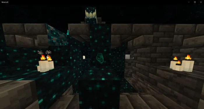 Варден оставляет эхо камень