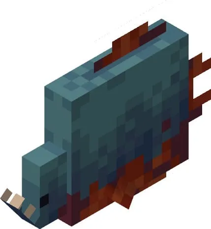 Вид пираньи