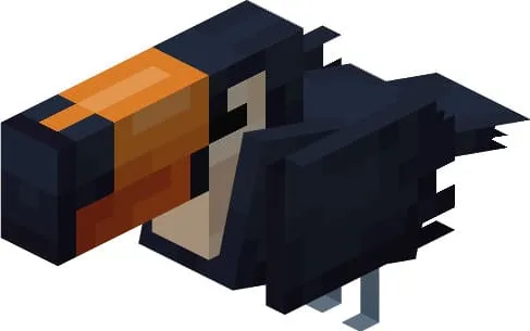 Большой тукан