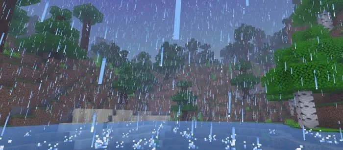 Вид дождя до