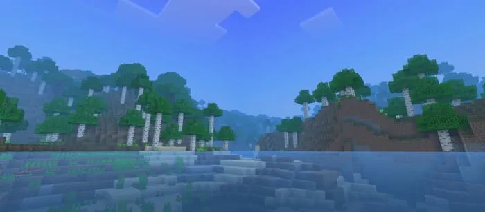 Вид воды до