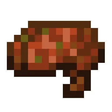 Иконга мозга