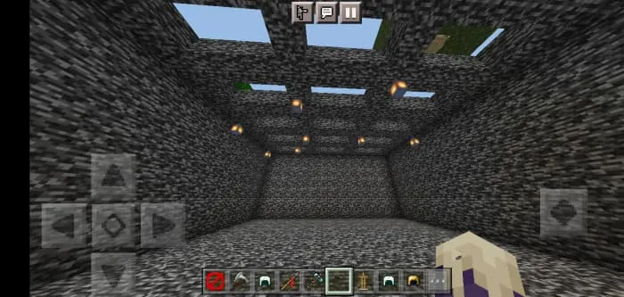 Игрок внутри арены