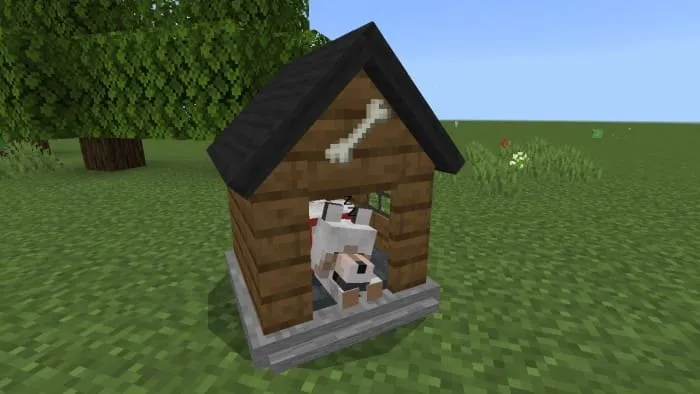 Волк в будке