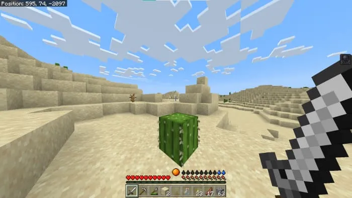 Игрок в пустыне