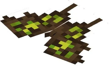 Ядовитая бабочка