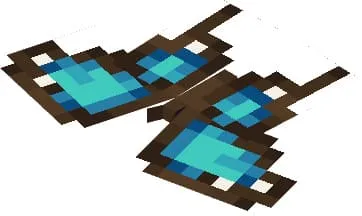 Вид бабочки