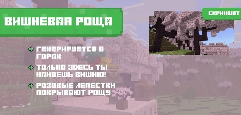 Описание биома Вишневой рощи