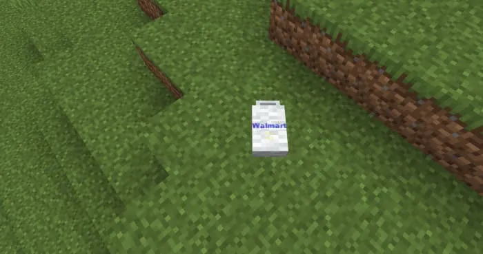 Пакет с едой