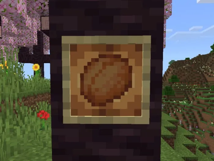 Косточка вишни