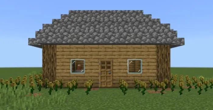 Структура дом доктора