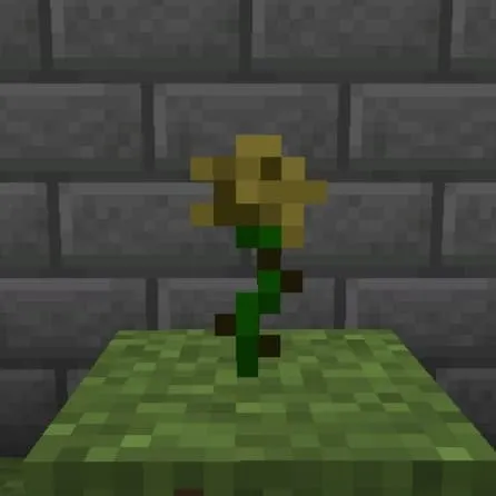 Лечебный цветок