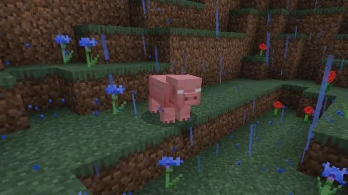 Проклятая свинья