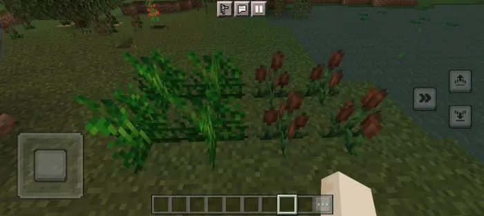 Новая трава