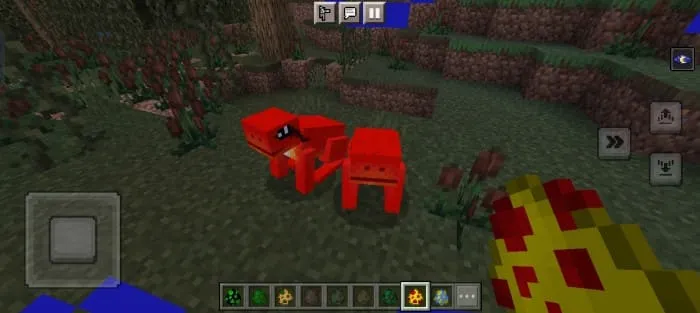 Красная лягушка