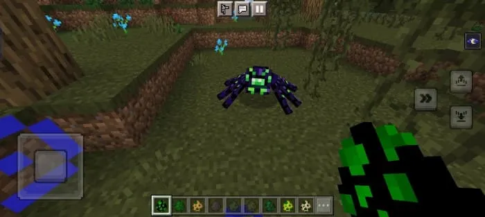 Болотный паук